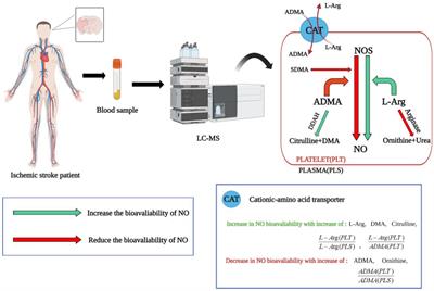 Application of emerging technologies in ischemic stroke: from clinical study to basic research